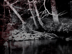 the_woods_by_Jezjiah.jpg